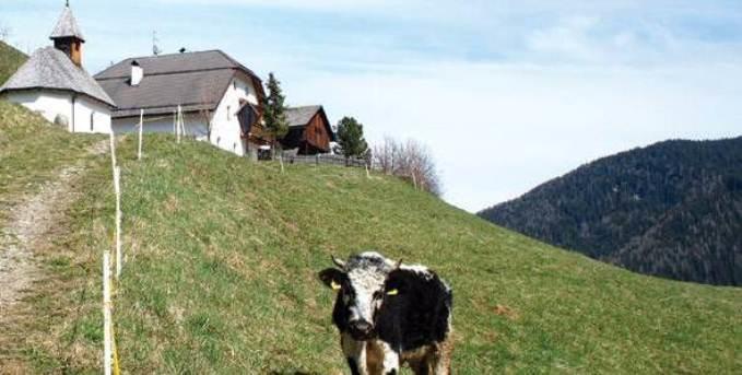 Berggasthof Trattes Hotel Olang Buitenkant foto